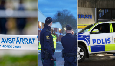 Experten om minskningen av dödsskjutningar i Sverige