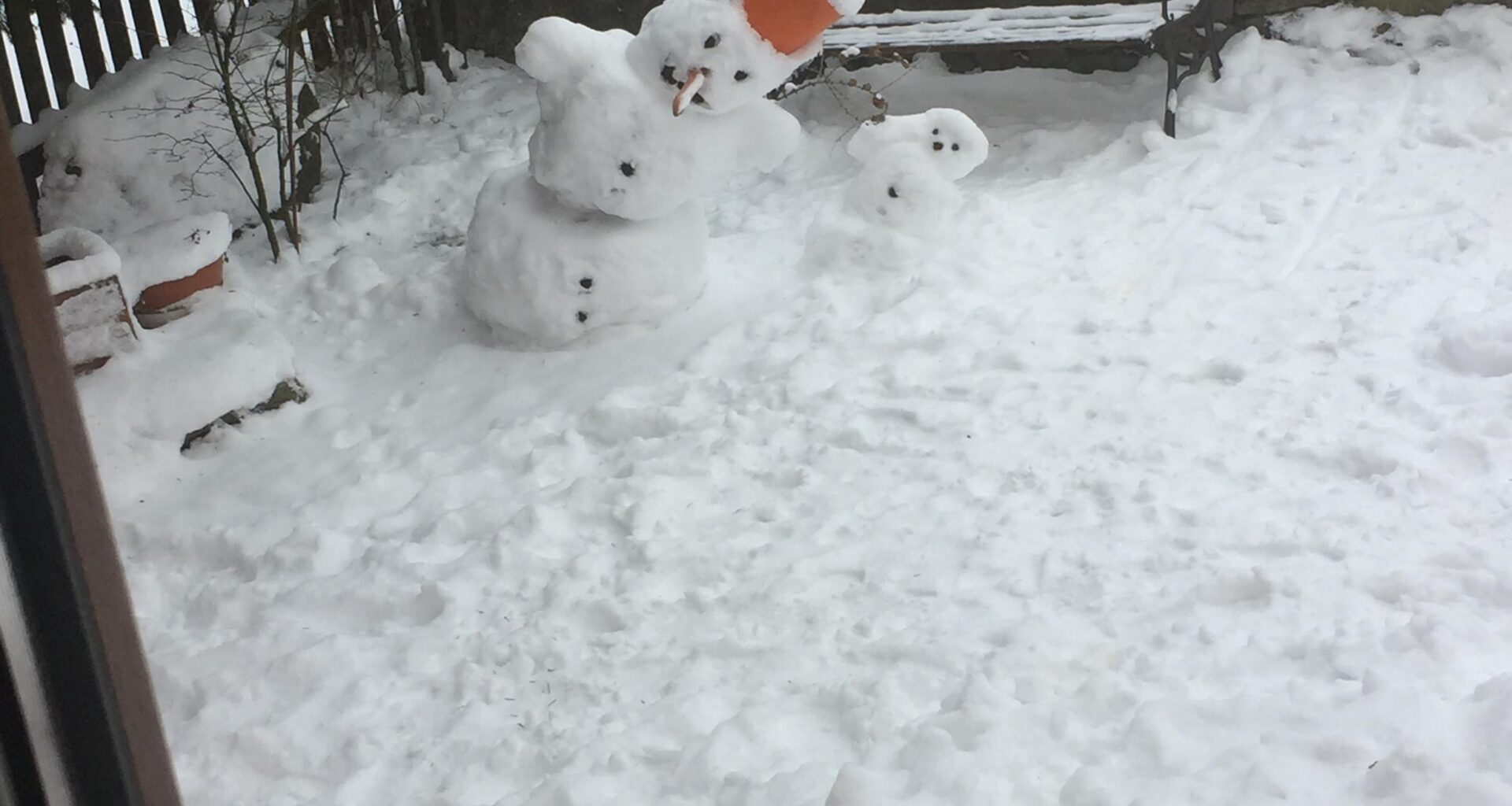 Poslední dobou z nich jde strach, dneska mi začali čumět do okna