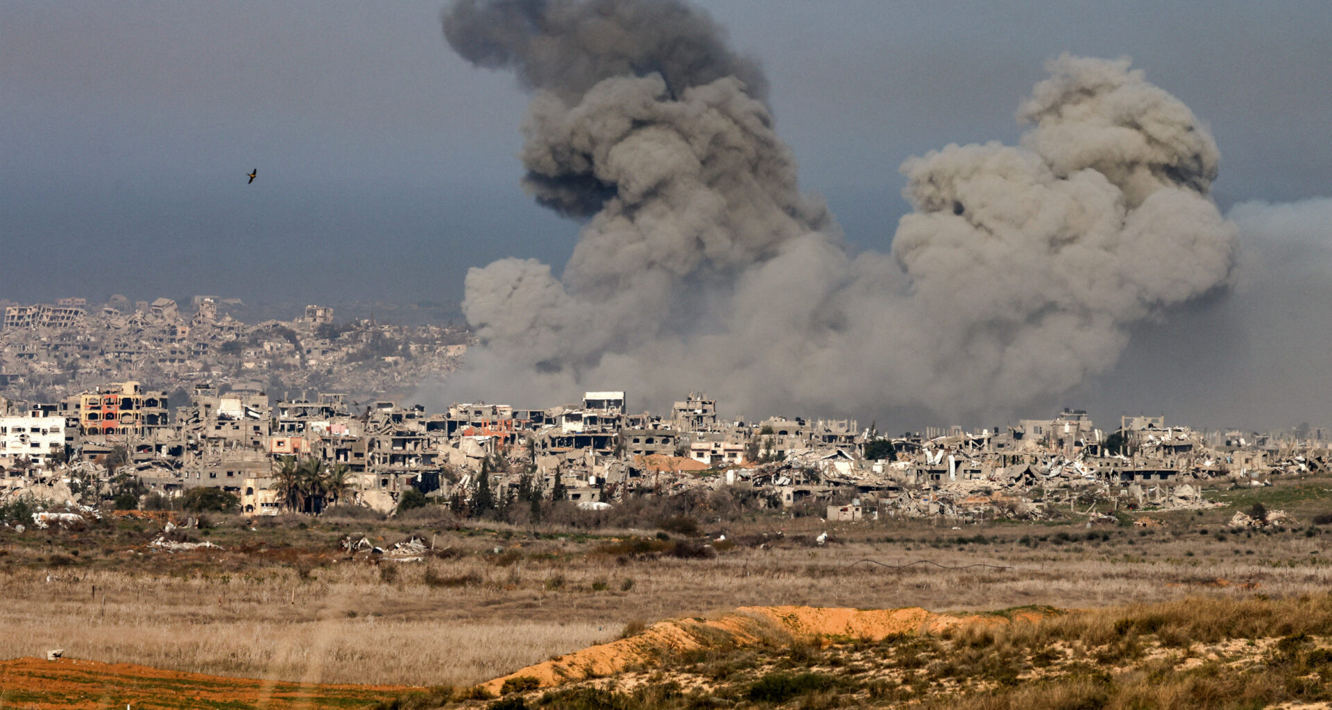 Gaza Ceasefire Live: Hamas Accepts Draft Agreement for Ceasefire And Hostage Release