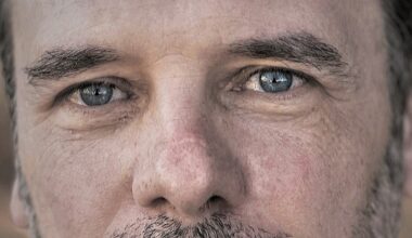 de Pascal Coquis. L’Europe aux défis