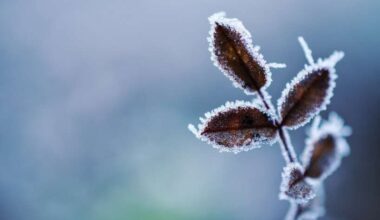 Esiet ļoti, ļoti uzmanīgi! Meteorologs Toms Bricis brīdina par laika apstākļiem, kas visā Latvijā iestāsies jau pirmdienas vakarā