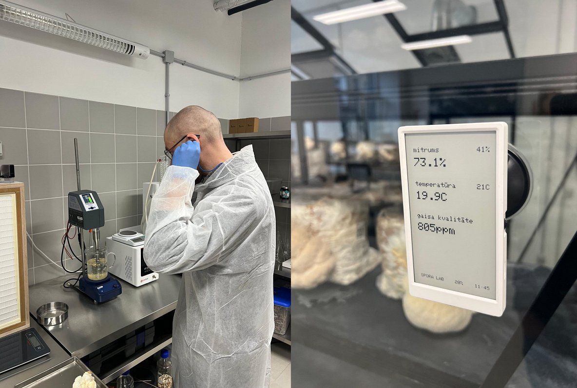 Sēņu audzētava - izpētes laboratorija