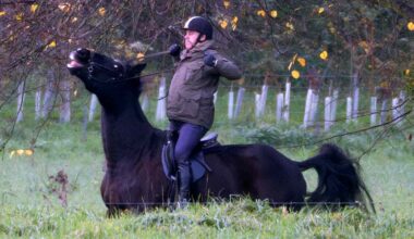 Prince Andrew Is Almost Thrown from His Horse in Dramatic Photos
