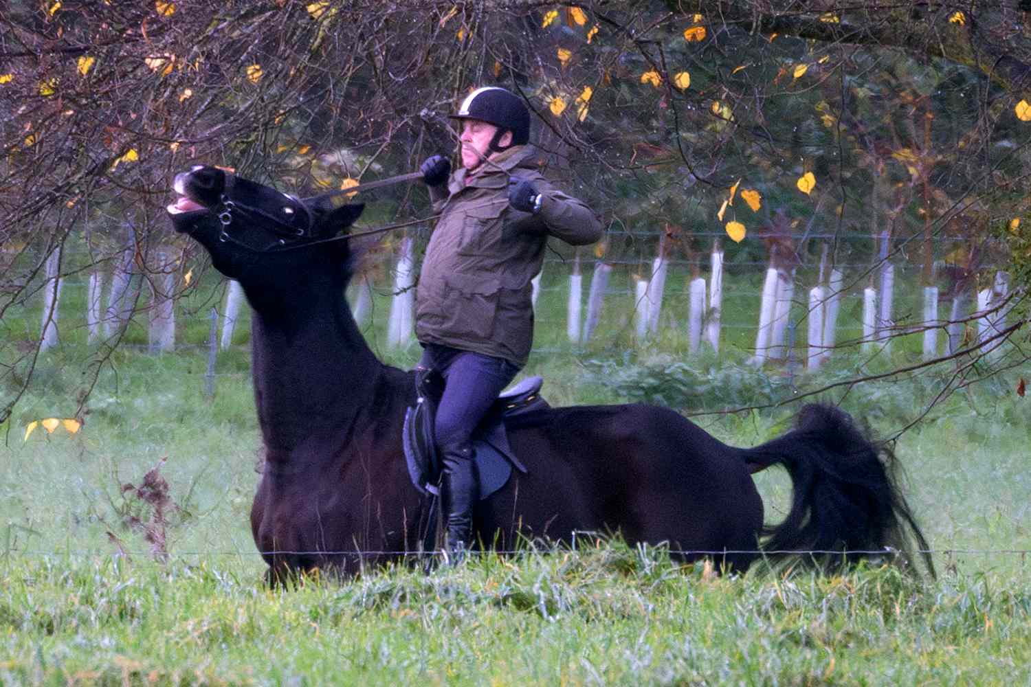 Prince Andrew Is Almost Thrown from His Horse in Dramatic Photos