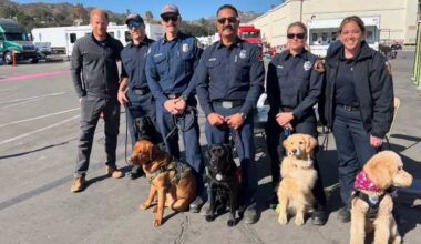 Salinas therapy dogs meet Prince Harry while supporting wildfire efforts in LA