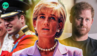 Prince William, Prince Harry and Princess Diana
