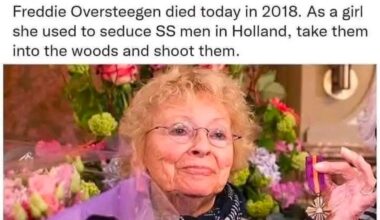 Probably laid her eggs inside them too