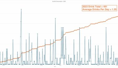 My Alcohol Consumption - January 2023 to December 2024 [OC]