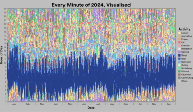 I tracked every minute of my life in 2024