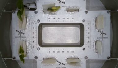 ISRO's Time-Lapse Video Shows How Plants Grow In Space