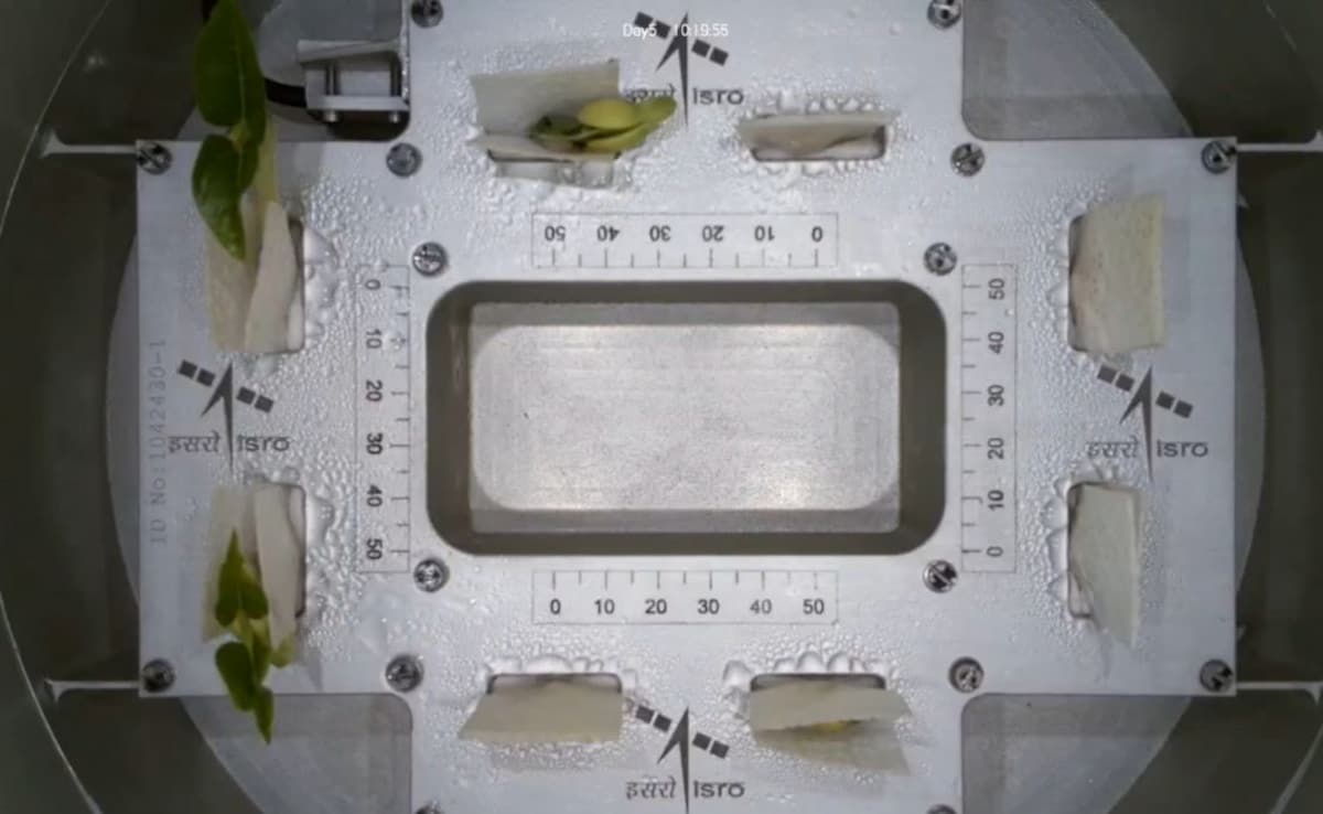 ISRO's Time-Lapse Video Shows How Plants Grow In Space