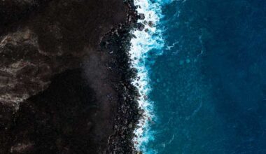 Rising Waters, Rising Stakes: The Geopolitical Role of AOSIS in Climate Advocacy