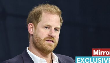Harry offered 'limited armed police officer protection' for upcoming UK visit