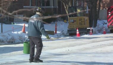 Road salt runoff creates environmental harm to wildlife