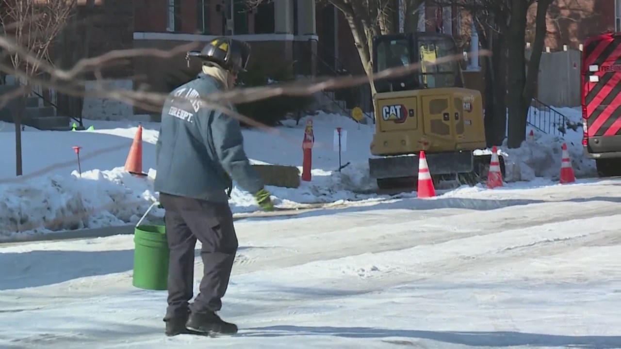 Road salt runoff creates environmental harm to wildlife
