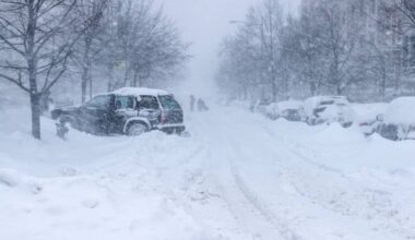 Donderdag veel sneeuw in Nederland uit solidariteit met Groenland
