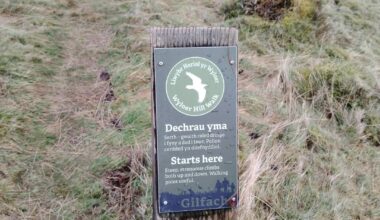 Dechrau yma gilfach, a ladder climb