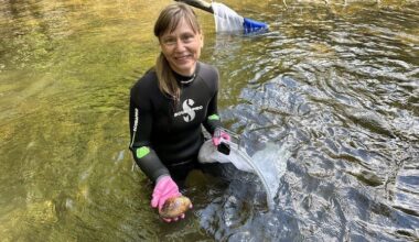 Rare interdunal wetlands under threat from development, climate change in Michigan
