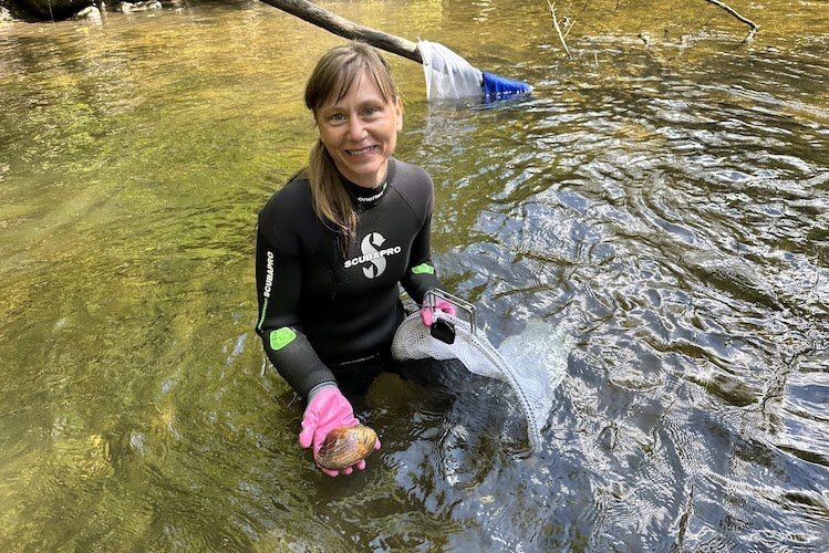 Rare interdunal wetlands under threat from development, climate change in Michigan