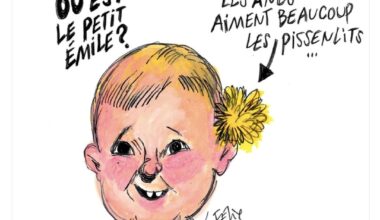 Charlie Hebdo literally made fun of a child that went missing and died right all because they found out his family is catholic. but freedom of speech right?