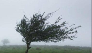 Lads make a storm MEGATHREAD!!!!
