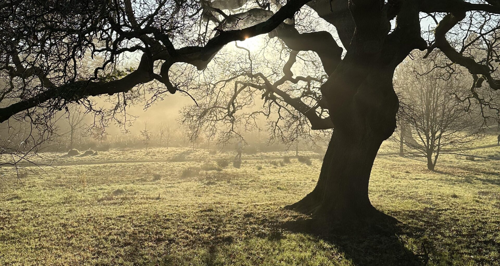 Singleton Park this morning
