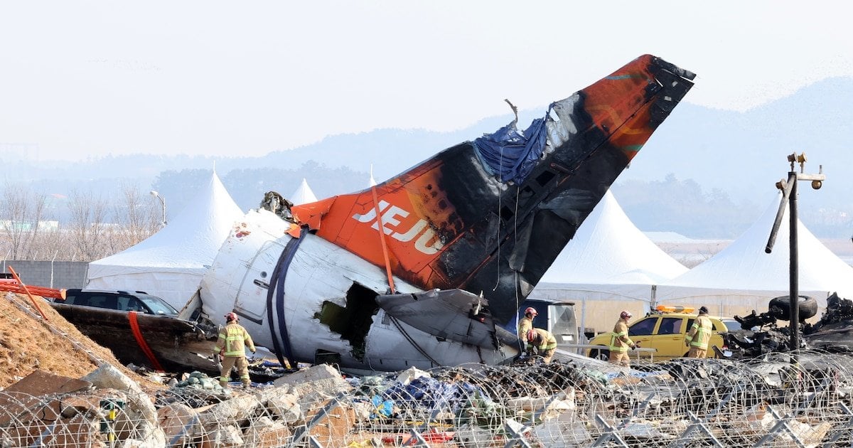 Crash de Jeju air : des oiseaux retrouvés dans les deux moteurs
