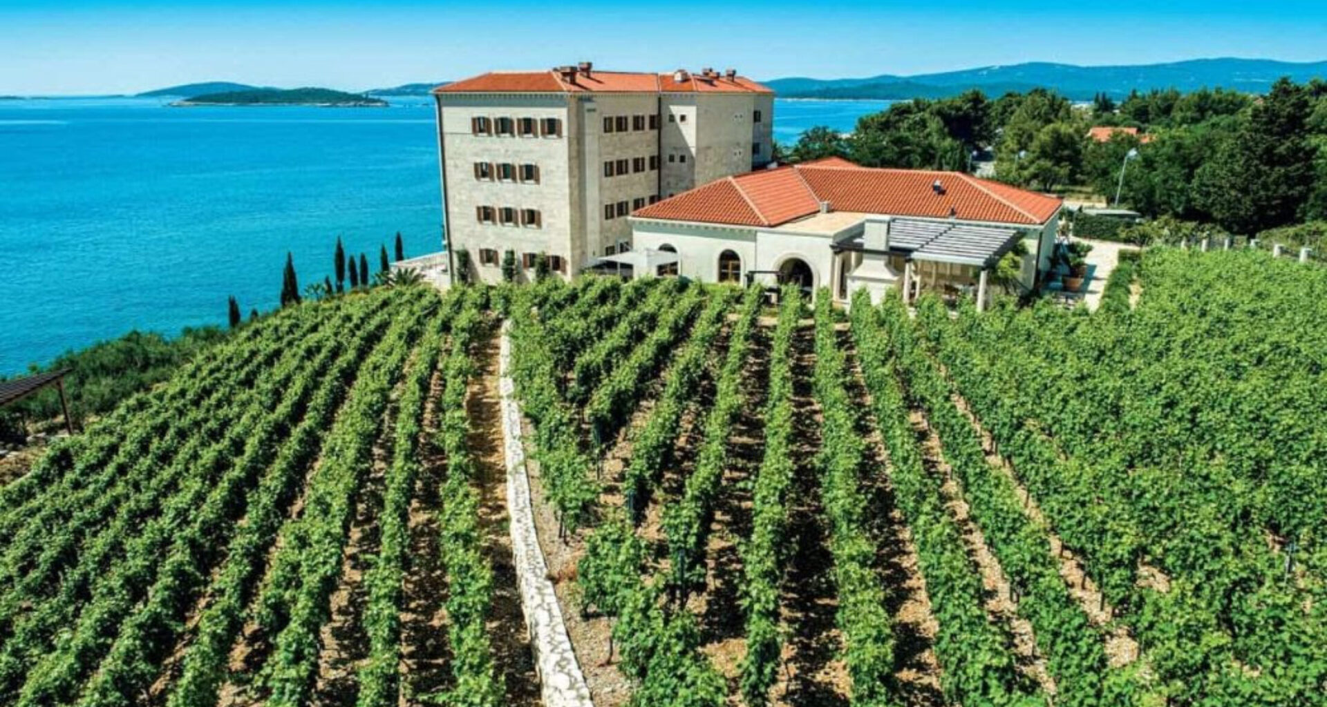 Explore the Wines of Croatia with Provence Marinaside – Scout Magazine