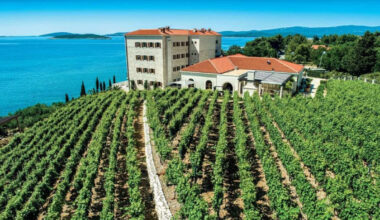 Explore the Wines of Croatia with Provence Marinaside – Scout Magazine
