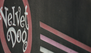 Velvet Dog closing after 25 years in business