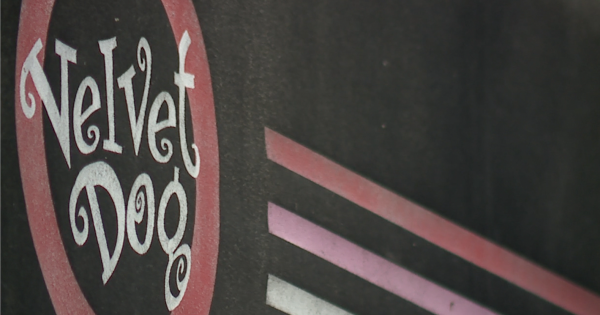 Velvet Dog closing after 25 years in business