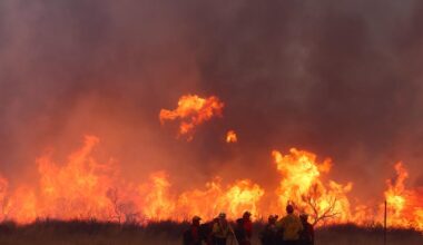 Hughes fire scorches over 10,000 acres near Castaic