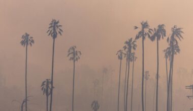 How to protect yourself from the smoke caused by L.A. wildfires