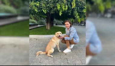 Moldova's 'First Dog' Goes Missing On New Year's Eve, Found A Day Later