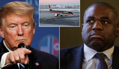 'It won't happen!' David Lammy swipes at Donald Trump over 'destabilising' demand with bizarre Nato warning