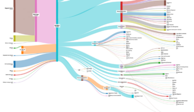 My entire life in income and expenses for the last 3 years. Massive decrease in fun, massive increase in house renovation. I have shed loads of data suggestions of what to do with it?