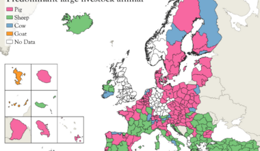 [OC] Predominant Large Livestock Animal