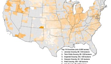 [OC] Maps of Yield for the Winter and Spring Wheat Crops in the US