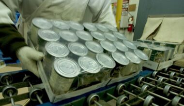 L’Union européenne rompt le contact entre bisphénol A et les aliments