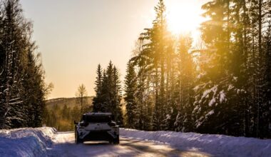 Rally Sweden's reindeer tension – DirtFish