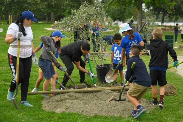 Girls Scouts and their parents work to plant 22 trees...