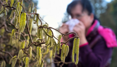 Luxembourg: Les pollens d'arbres font déjà des misères aux allergiques