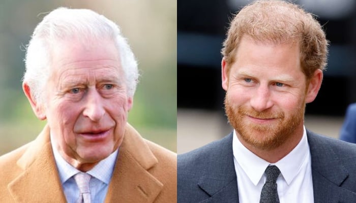 King Charles makes moving gesture for Prince Harry ahead of Invictus Games