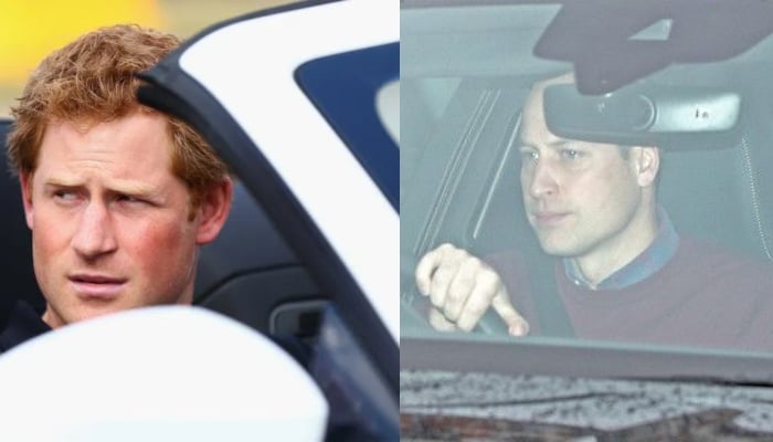 The brothers were given special training that is also used by security personnel and racing experts