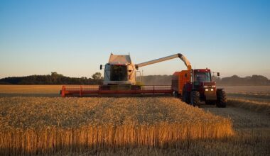 Study warns of BECCS risks