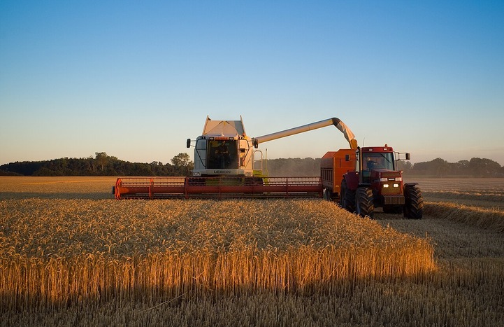 Study warns of BECCS risks