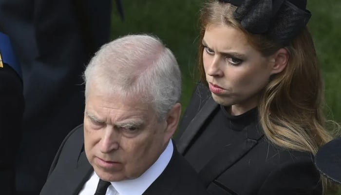 Prince Andrew previously denied any further contact with Epstein