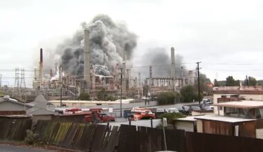 NorCal gas prices have risen since Martinez Refinery fire, petroleum watchdog says