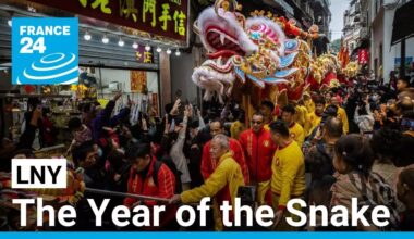 Lunar New Year 2025 marks the beginning of the Year of the Snake • FRANCE 24 English