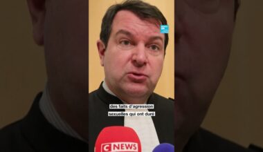 🇫🇷⚖️ Affaire #Haenel: Christophe #Ruggia condamné à deux ans de bracelet électronique • FRANCE 24